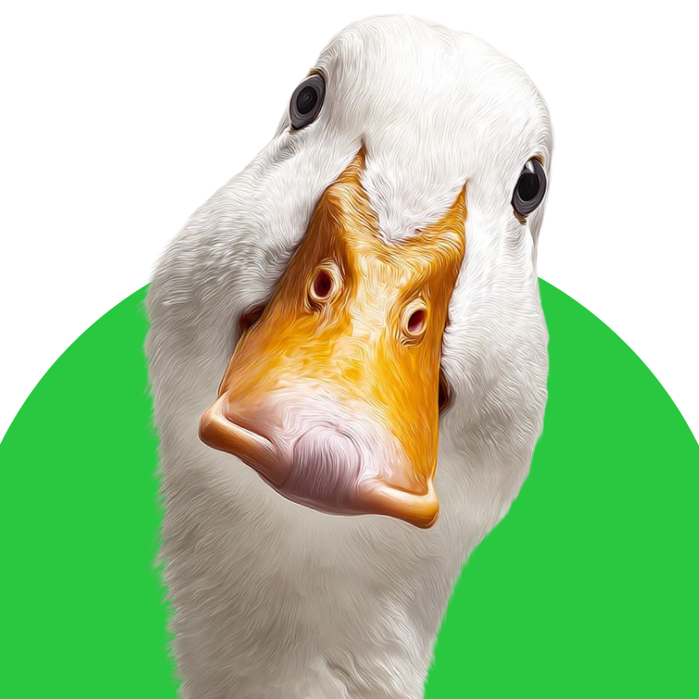 Птицы