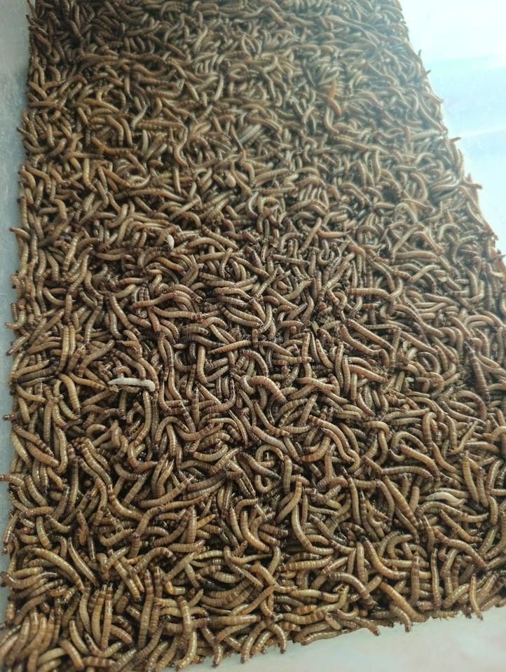 200 000 сум