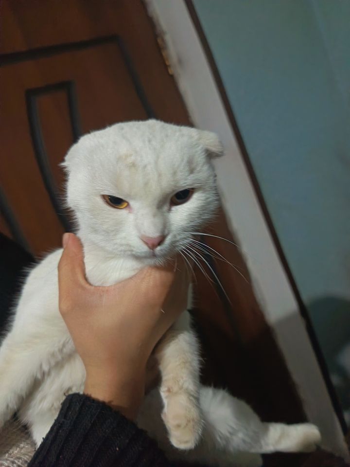 2 000 000 UZS