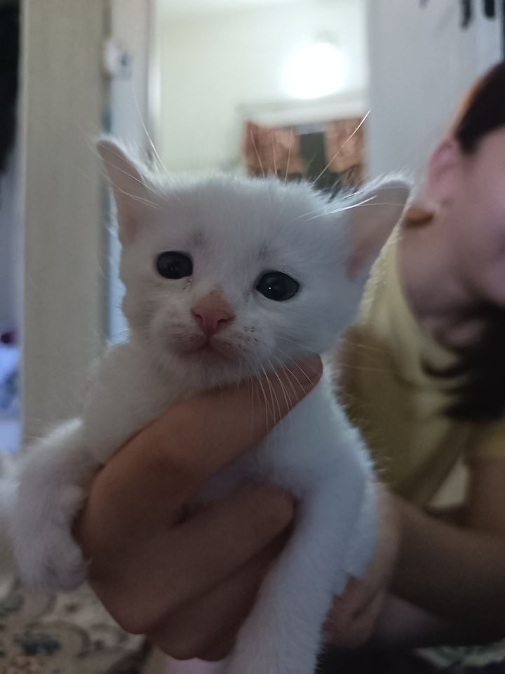500 000 сум