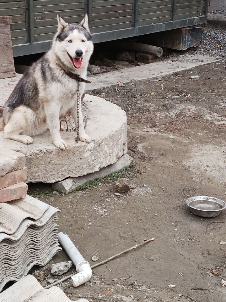 1 000 000 сум