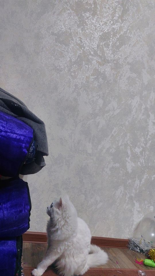 120 USD