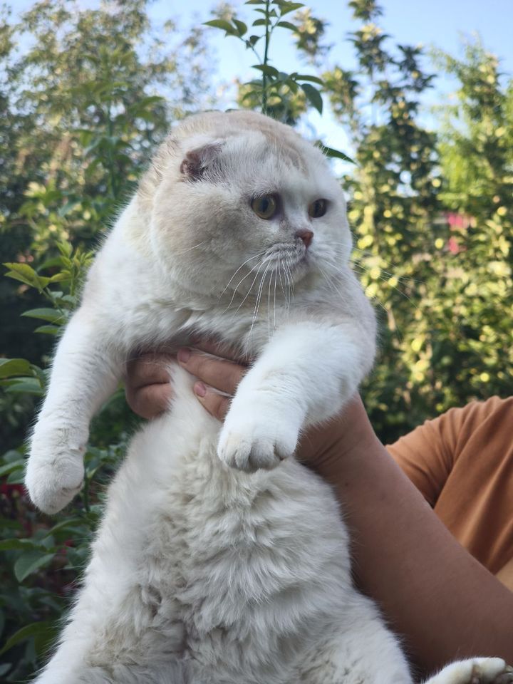 600 000 сум