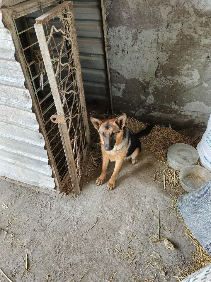 650 000 сум