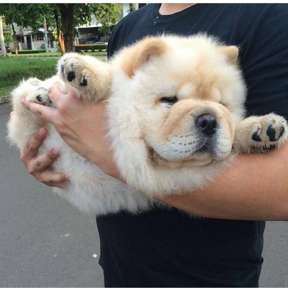 6 000 000 сум