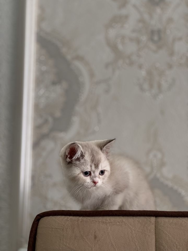 450 000 сум