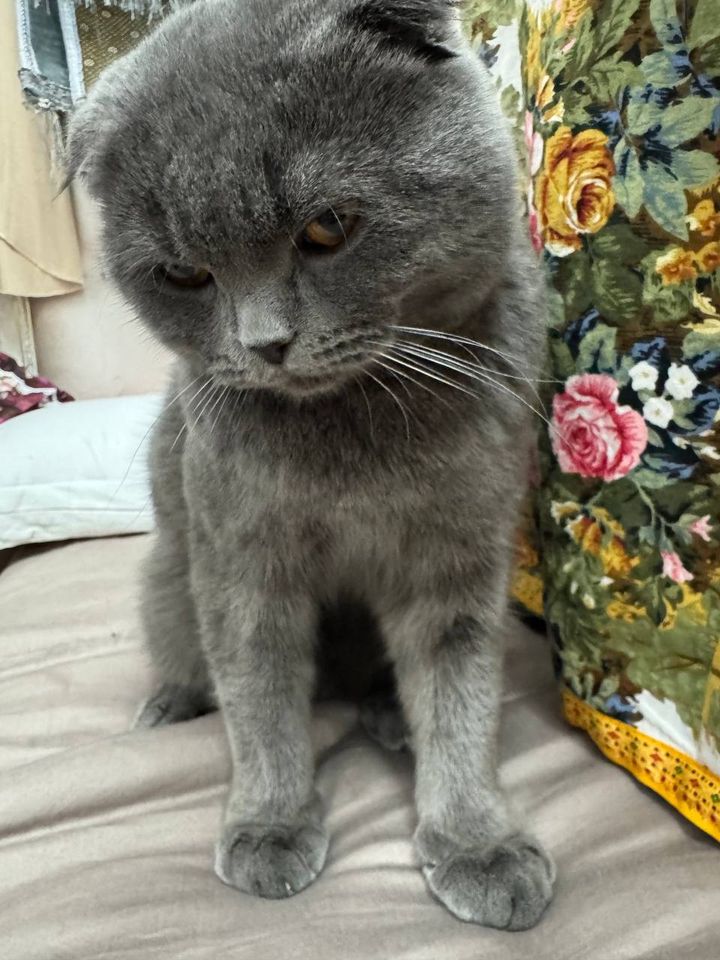 1 200 000 сум