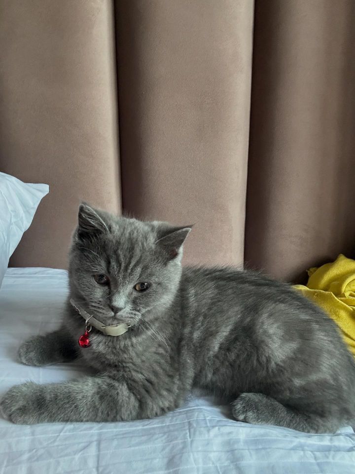 1 300 000 сум