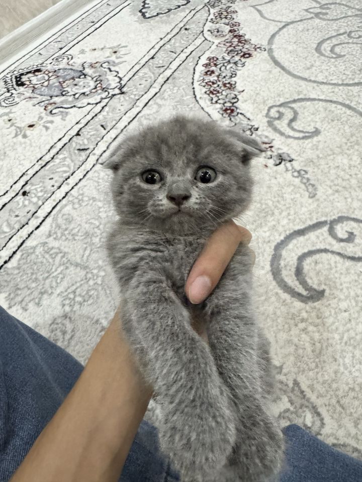 120 USD