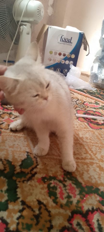 1 200 000 сум