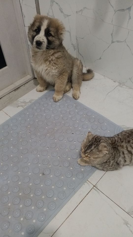 1 100 000 сум