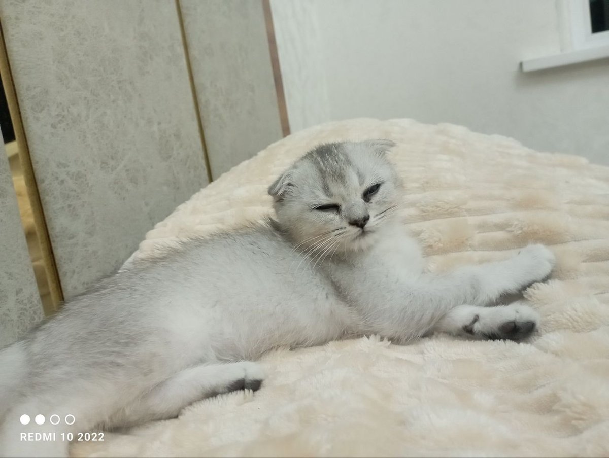 1 100 000 сум