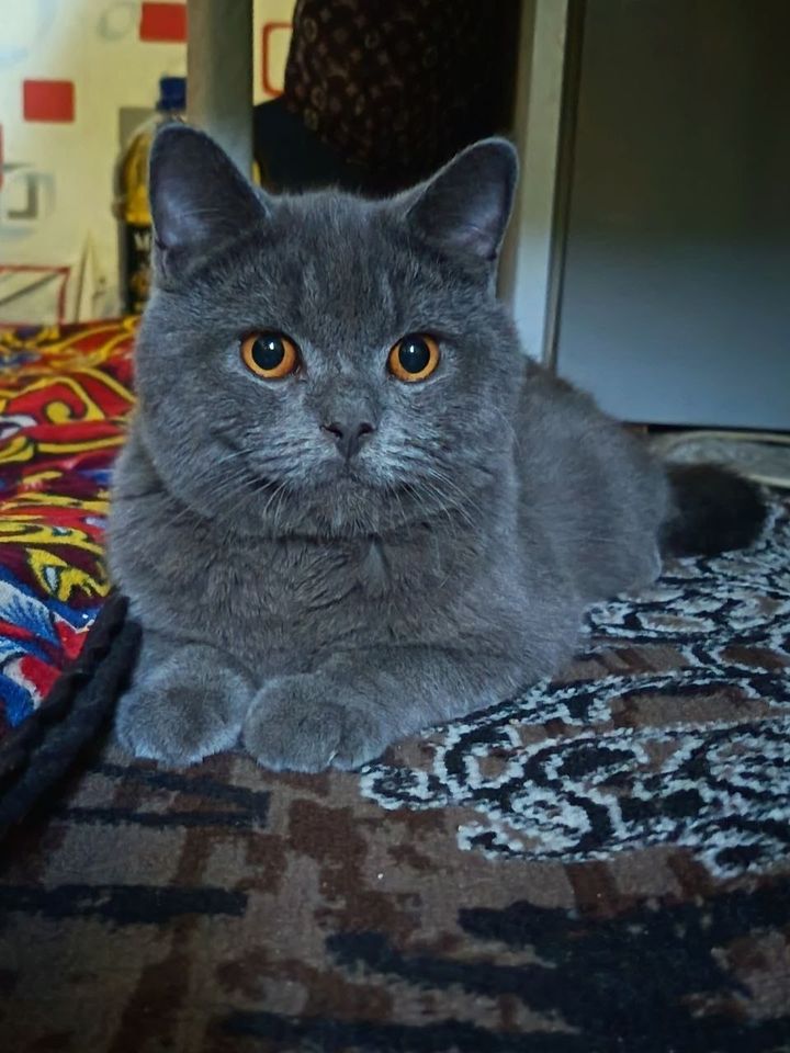 1 000 000 сум