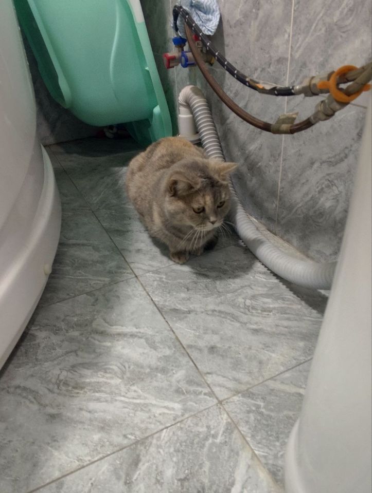 900 000 сум