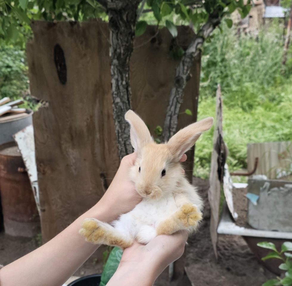 150 000 сум