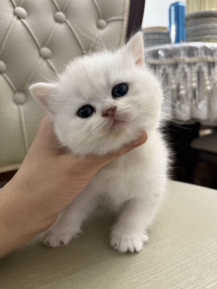 400 USD
