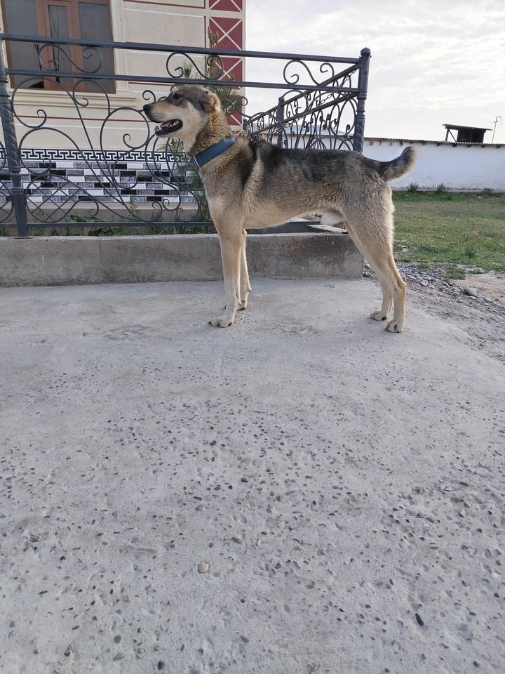 1 000 000 сум