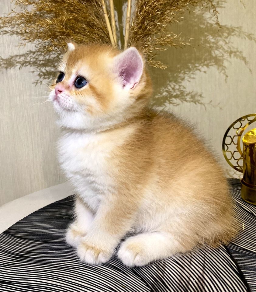 350 USD
