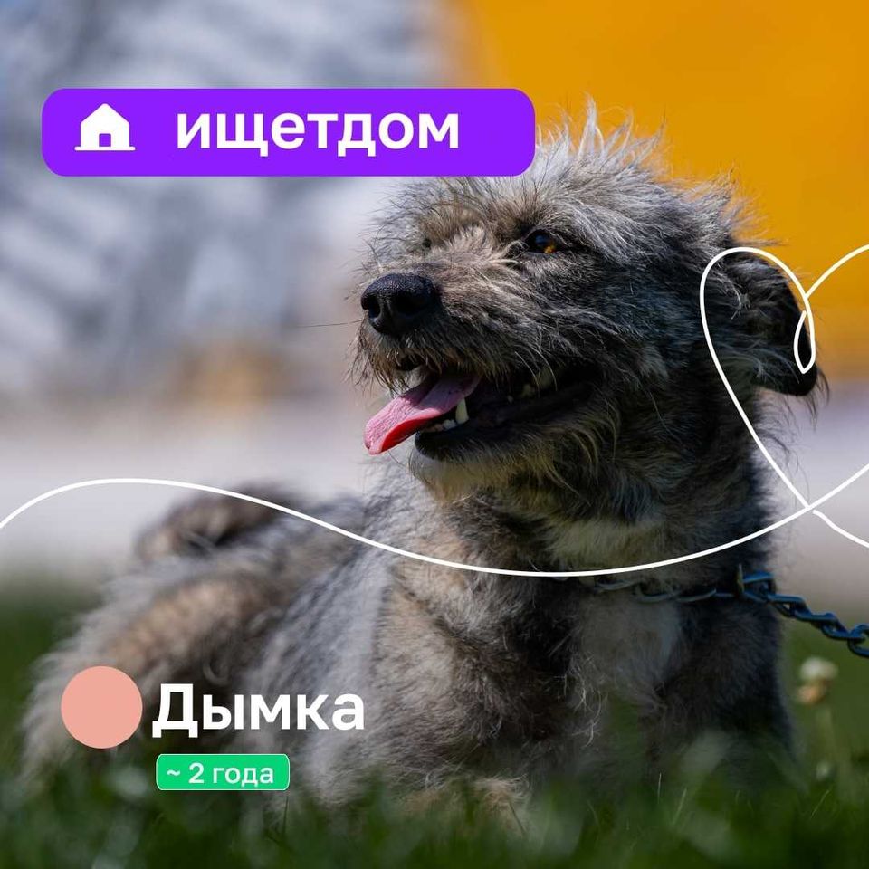 Бесплатно