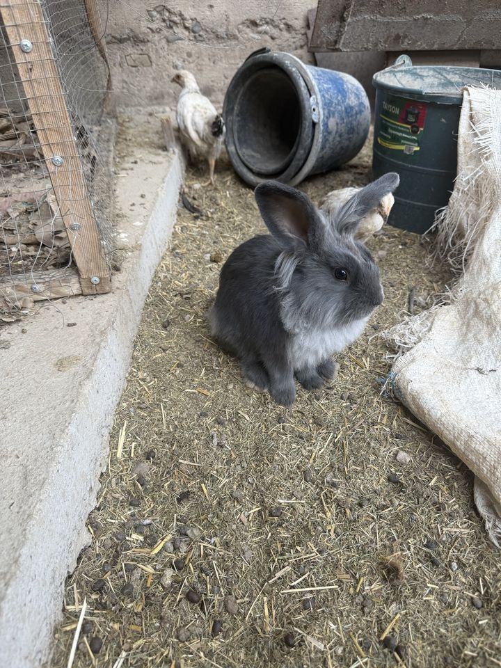 99 999 сум