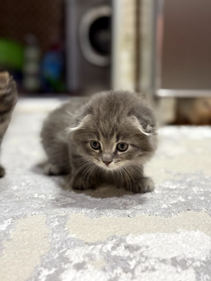 1 300 000 сум
