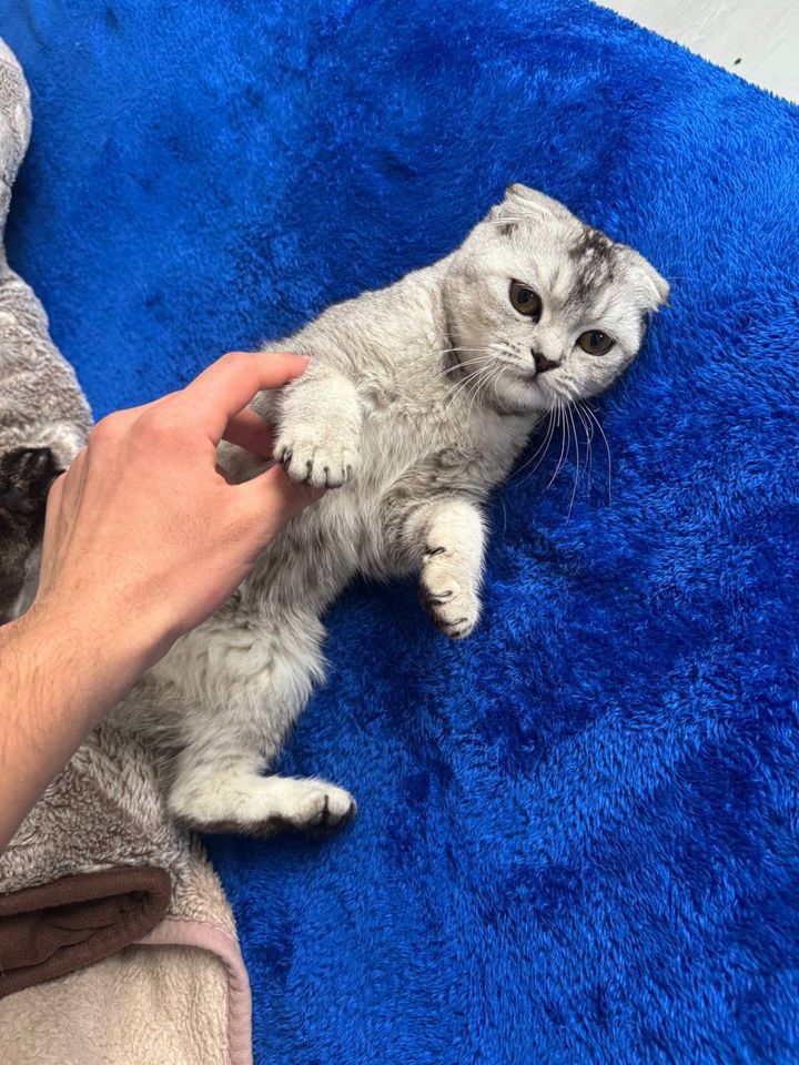 2 700 000 сум