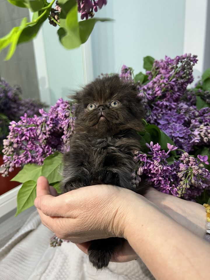 1 000 000 сум