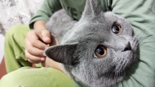 2 500 000 сум