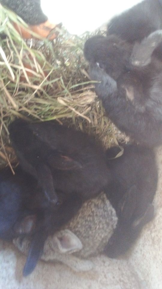 50 000 UZS