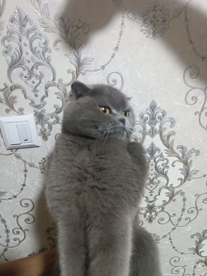 800 000 сум