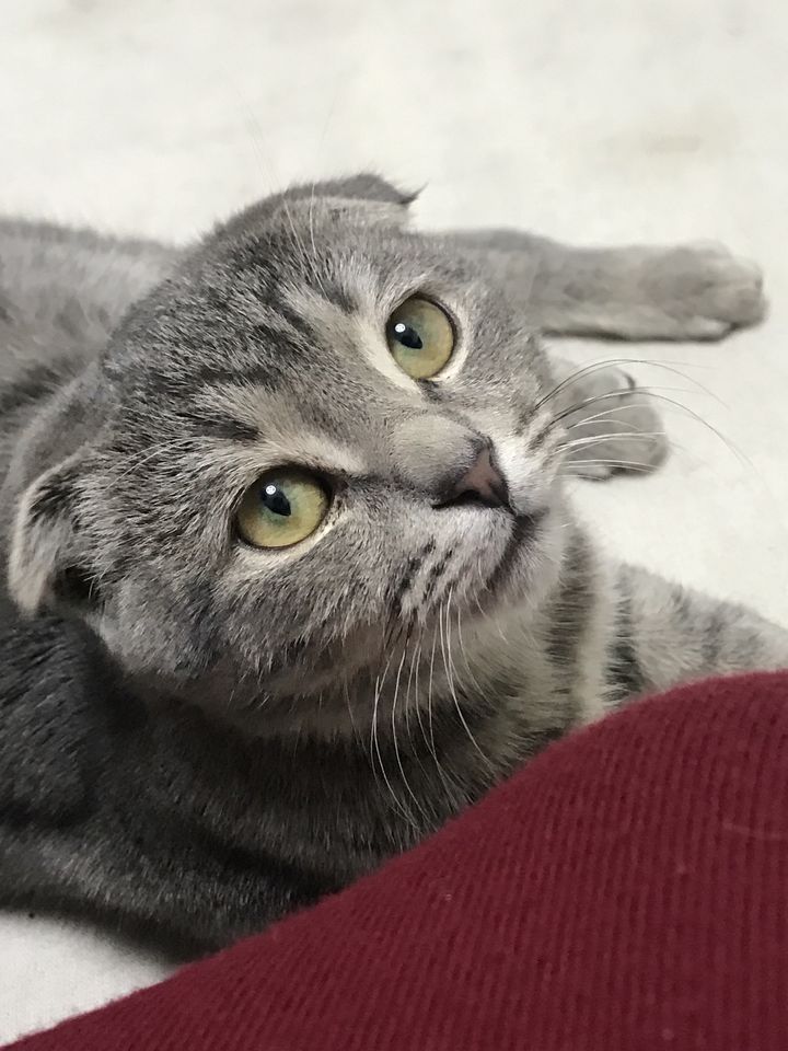 1 200 000 сум