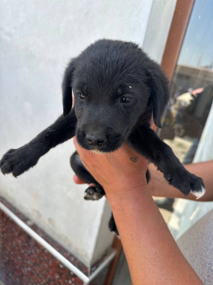 800 000 сум