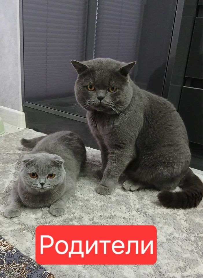 50 USD