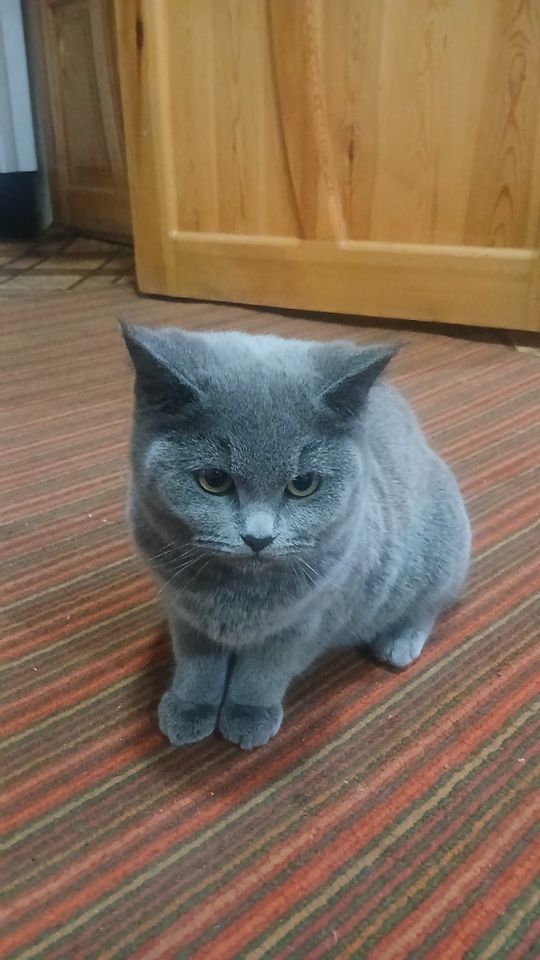 1 000 000 сум