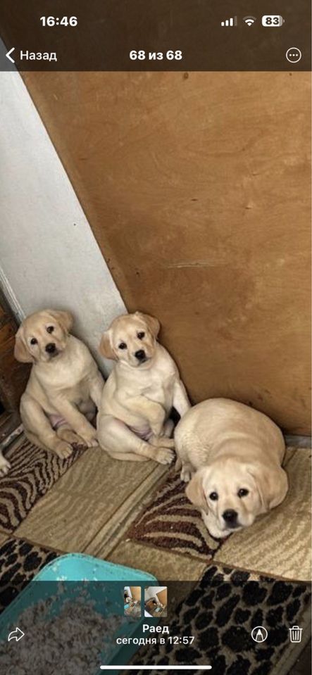 300 USD