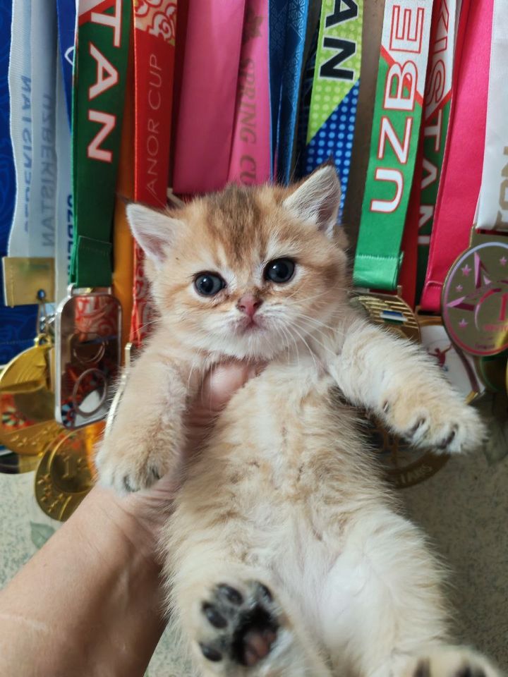 150 USD