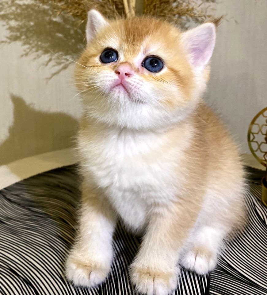 350 USD
