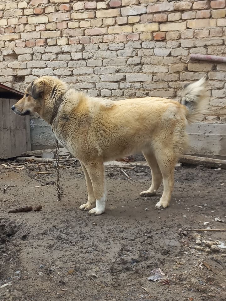 300 USD