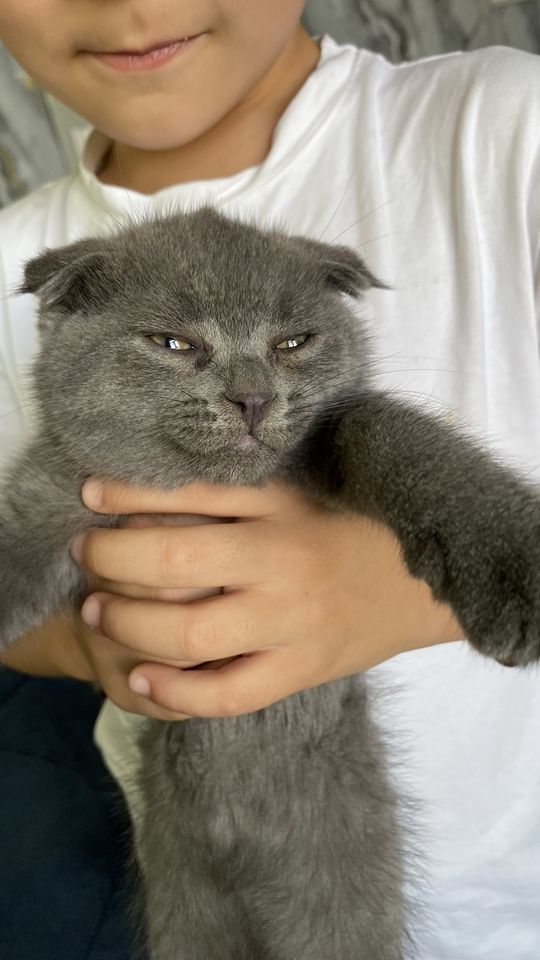 1 500 000 сум