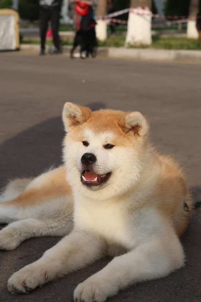 700 USD