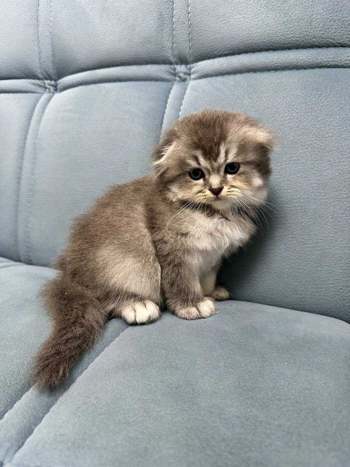 1 500 000 сум