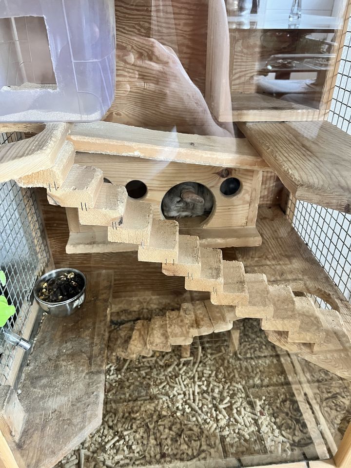 150 USD