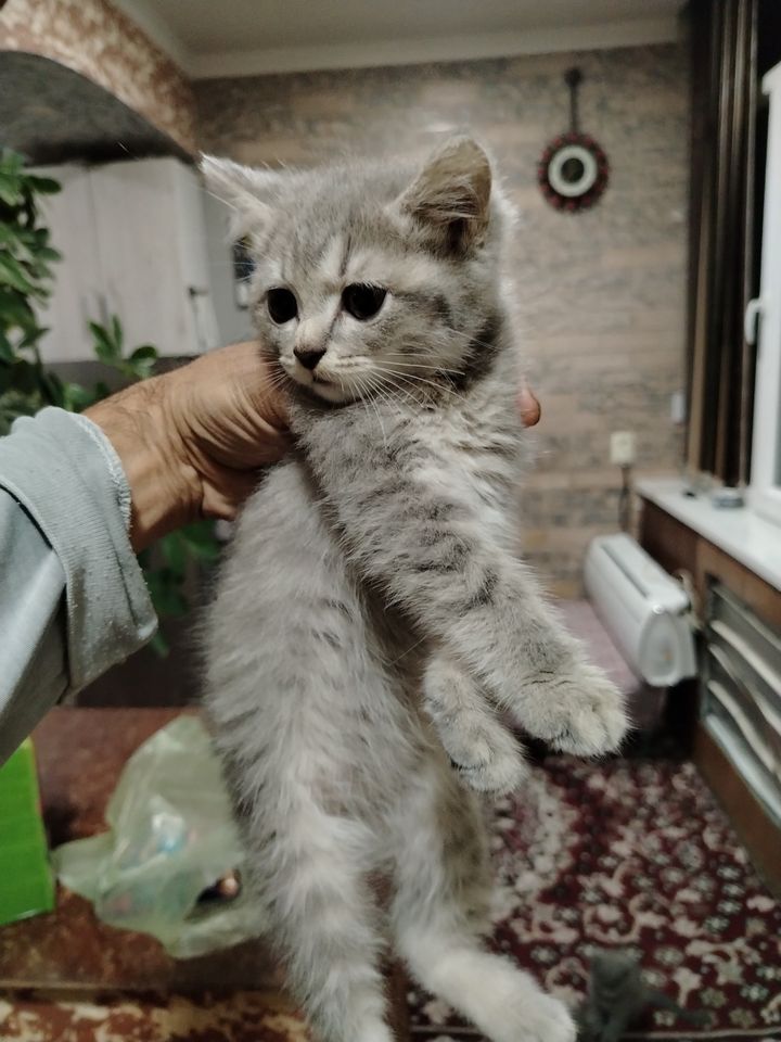 800 000 сум