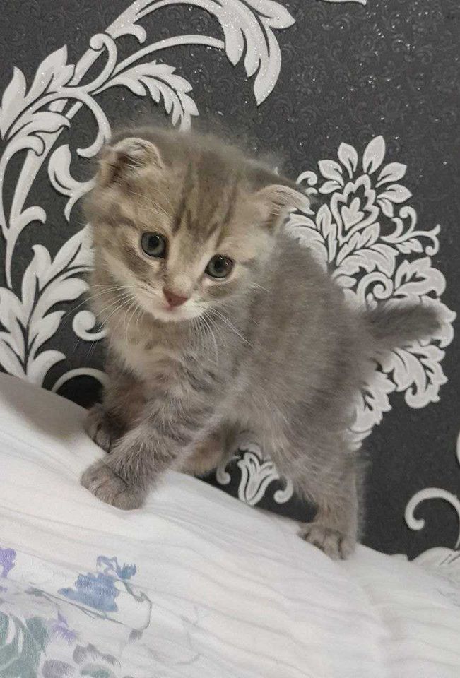 1 500 000 сум