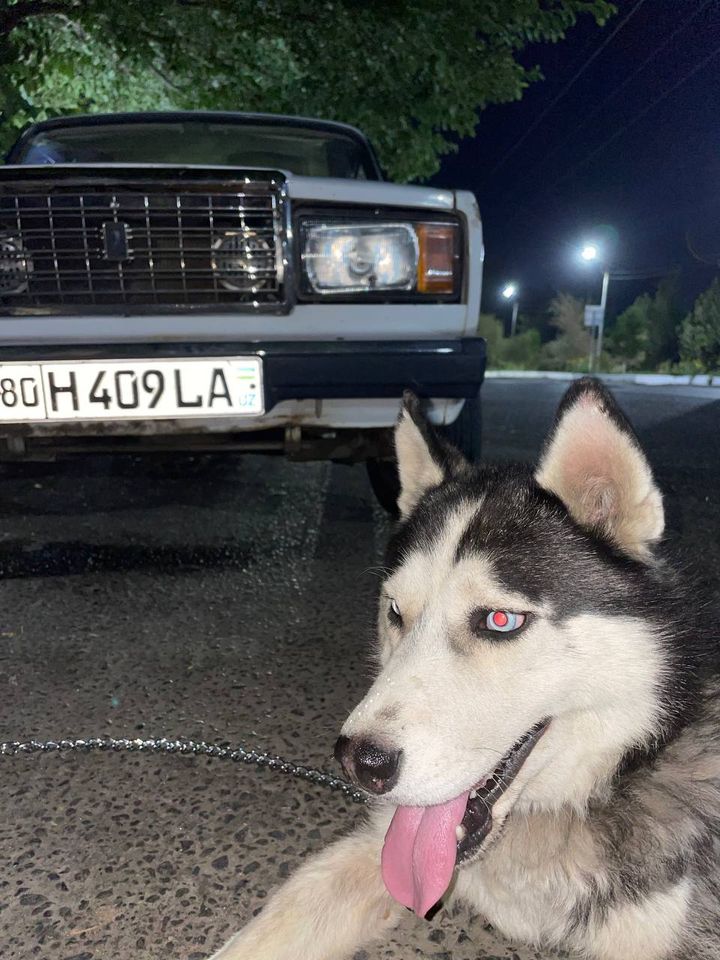 2 500 000 UZS