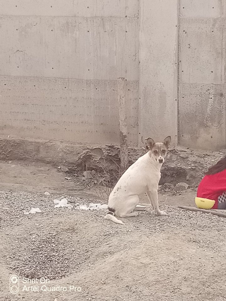Бесплатно