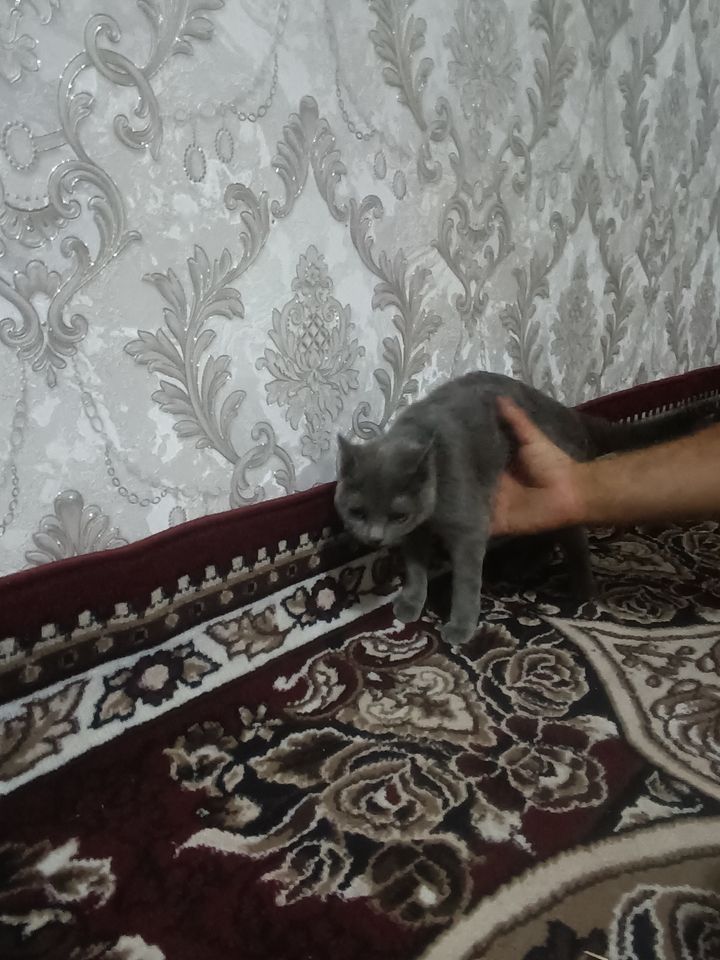 500 000 UZS