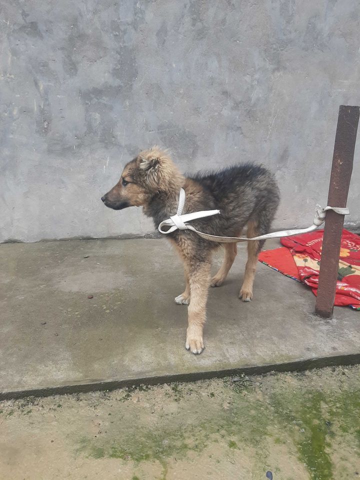 5 000 000 сум