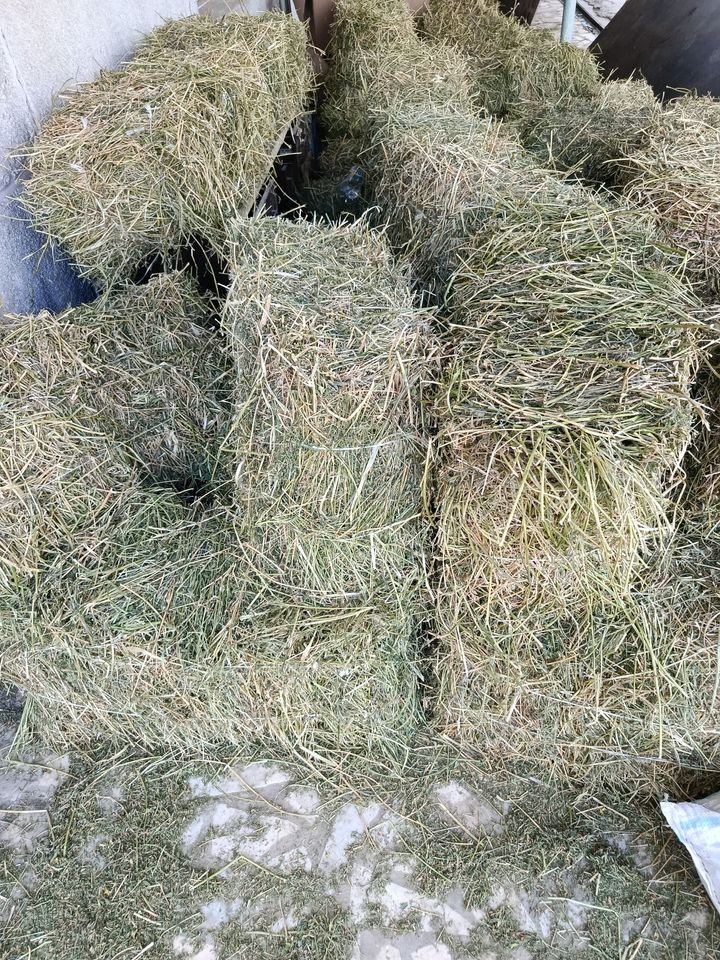 33 000 сум