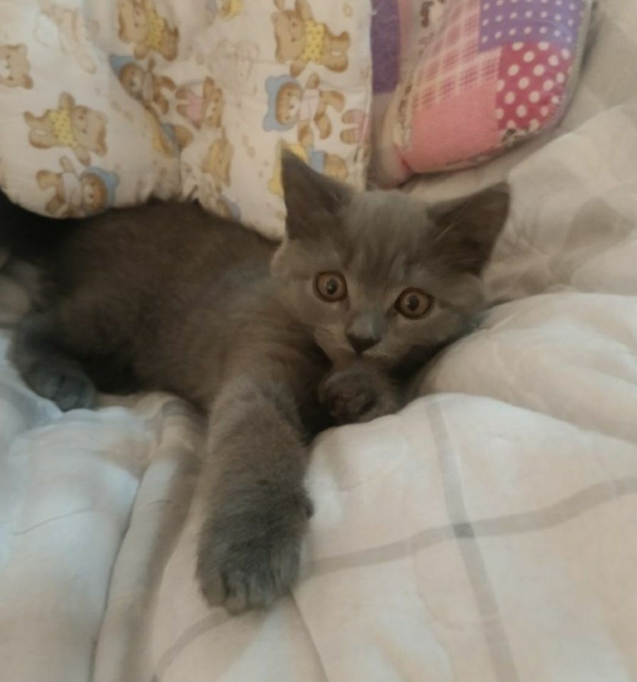 800 000 сум